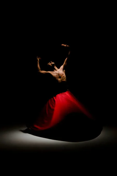 DERVISH IN PROGRESS ZİYA AZAZİ